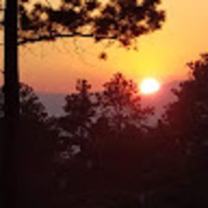 Meet your Posher, Jeremiah